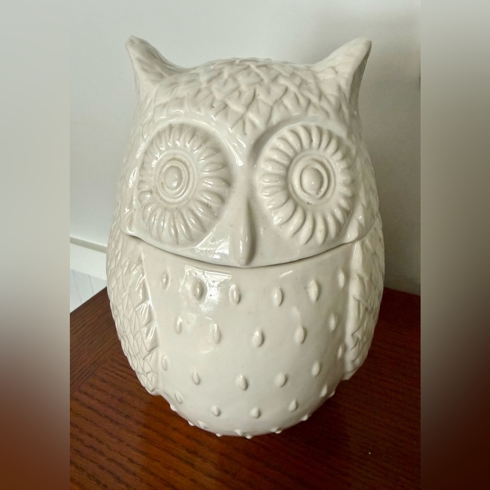 West Elm Textured White Owl Cookie Jar 10”